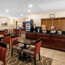 Comfort Inn Auburn-Worcester - Motels