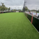 Purchase Green Artificial Grass
