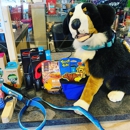 Hounds Around Town - Pet Services