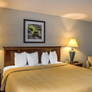 Quality Inn & Suites Cincinnati I-275 - Motels