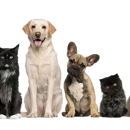 Animal Clinic Of Tower Drive - Veterinarians