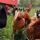 Freedom Valley Farm - Farms