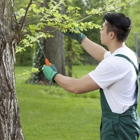 Tony J. Bricker Tree Service