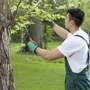 Tony J. Bricker Tree Service