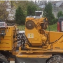 Sam's Services LLC - Stump Removal & Grinding