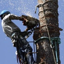 Tree Barber Enterprises - Stump Removal & Grinding