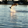 Anchors Away Sailing Charters gallery