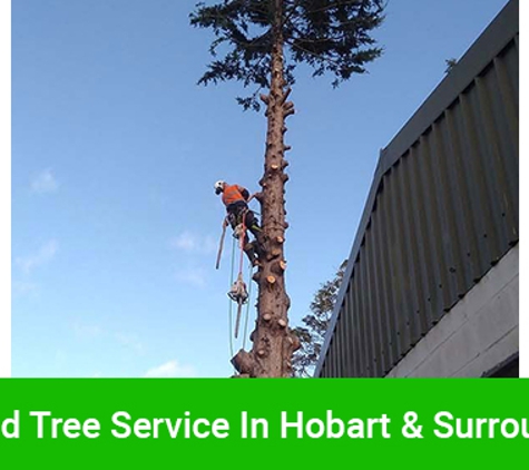 Horizon Tree Service - Brighton, TAS. Trusted Tree Service In Hobart & Surrounding