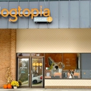 Dogtopia of Four Seasons - Chesterfield - Pet Services
