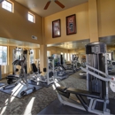Dobson 2222 - Real Estate Rental Service