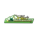 Villa's Landscape Maintenance - Gardeners