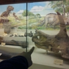 Ku Natural History Museum gallery