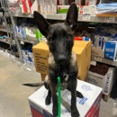 Alpha K9 Connections - Dog Training
