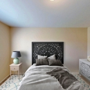 Chestnut Lake - Apartments