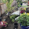 ECO Landscaping LLC gallery