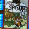 The Pet Spot gallery