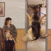 Affordable Veterinary Clinic gallery