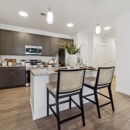 Plat 4 at Research Triangle - Apartments