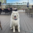 Charlie’s Place - Bars