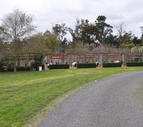 Doggie Motel & Cattery - Cardigan, VIC