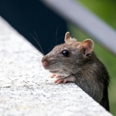 Total Pest Control - Pest Control Equipment & Supplies