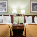 Quality Inn- Holland/Toledo - Motels
