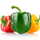 Gelardi Produce - Fruits & Vegetables-Wholesale