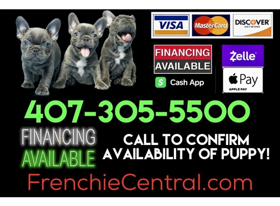 Frenchie Central - Orlando, FL