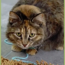 The Cat's Meow - Pet Boarding & Kennels