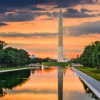 Vignette Collection Yours Truly DC by IHG gallery