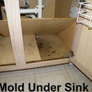 Texas Mold Consultants - Mold Testing & Consulting