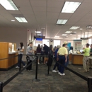 Department of Motor Vehicles - Vehicle License & Registration