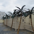Dans Artificial Palm Trees & Restoration
