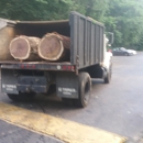 A & LTree service - Tree Service