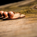 Peachtree Injury Law Partners - Attorneys