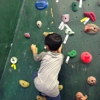 Circuit Bouldering Gym NE gallery