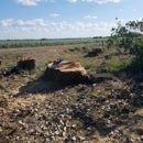North 40 Tree And Landscaping - Tree Service