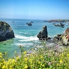 Sonoma Coast State Park gallery