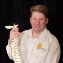 Lifeback Chiropractic - Chiropractors & Chiropractic Services