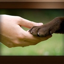 Lehi Animal Hospital - Veterinary Clinics & Hospitals