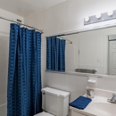 The Carlyle Apartment Homes - Apartments