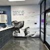 Pet Well Clinic gallery