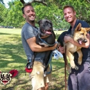 Y&Y K9 - Dog Training