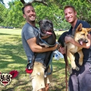 Y&Y K9 - Dog Training