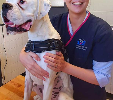 Eastern Shore Veterinary Hospital - Warrane, TAS
