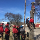 Vineland Tree Care - Tree Service