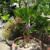 Gallery Image Number 3