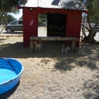 Custom Dog Training Thee Boarding Ranch