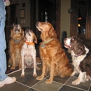 Monroe County Animal Hospital - Veterinary Clinics & Hospitals