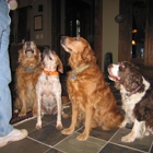 Monroe County Animal Hospital